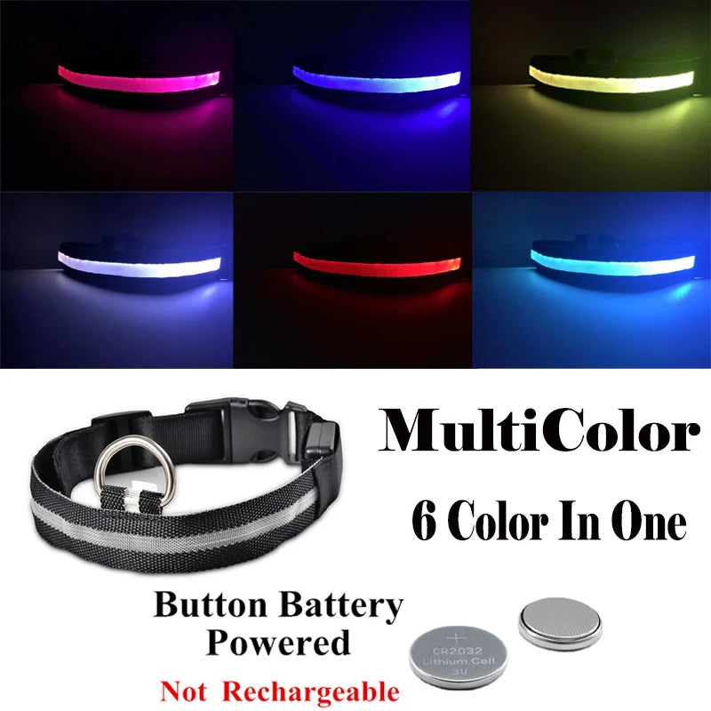 USB Rechargeable LED Dog Collar – Night Safety Glowing Collar