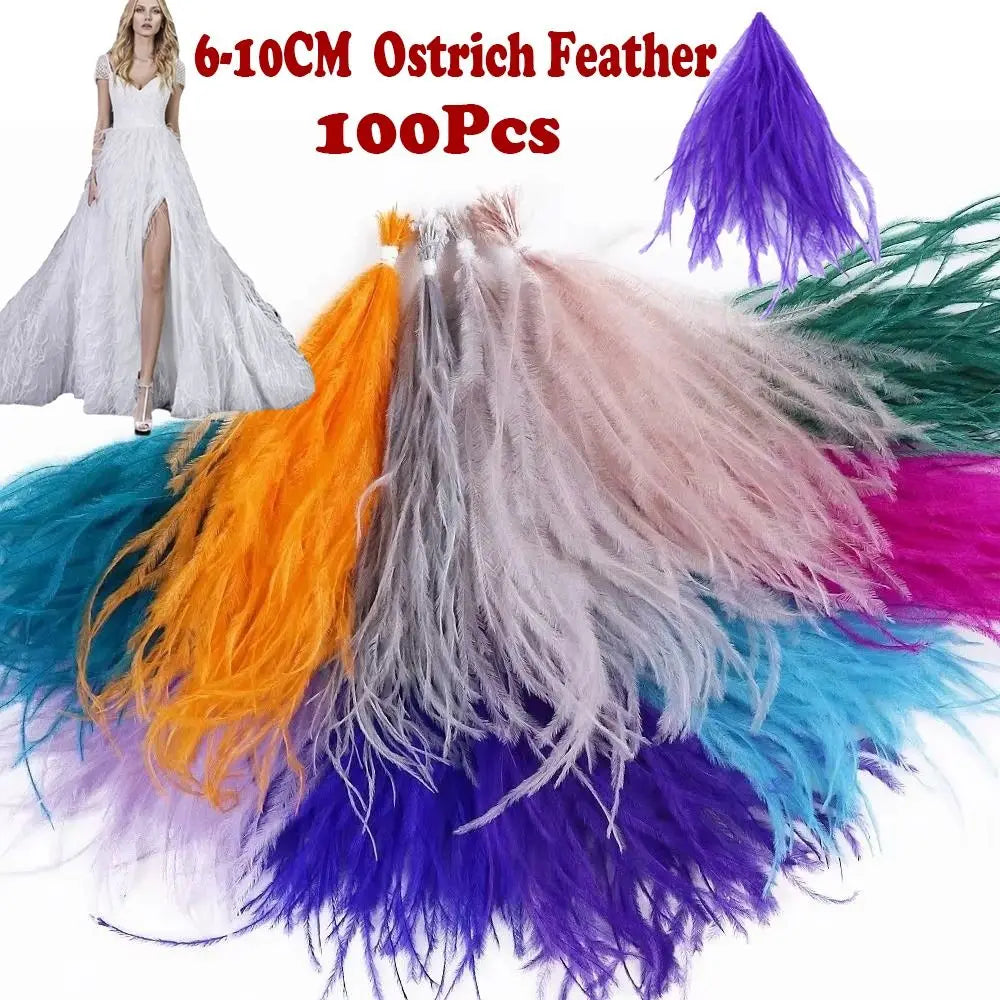 100-Pack Turkey Feathers 10–15cm | DIY Craft & Costume Trim
