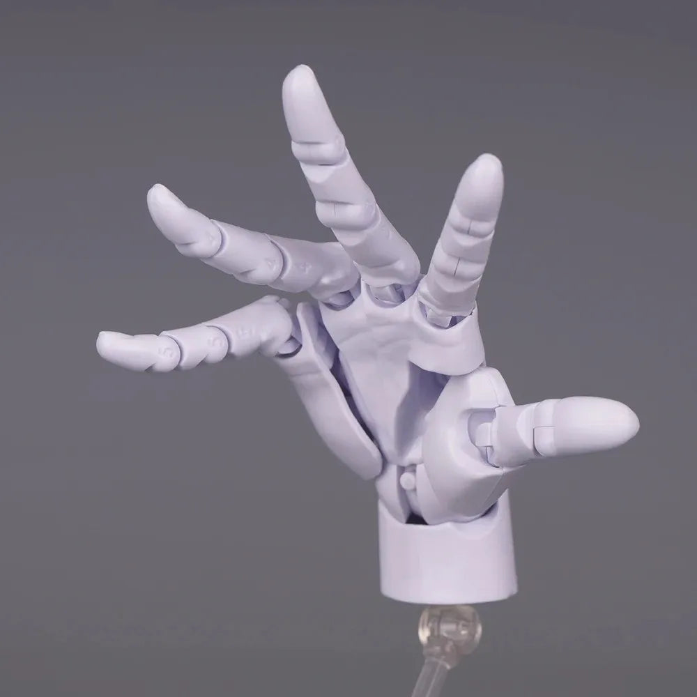1:2 Scale Articulated Hand Model – Posable Fingers Art Figure