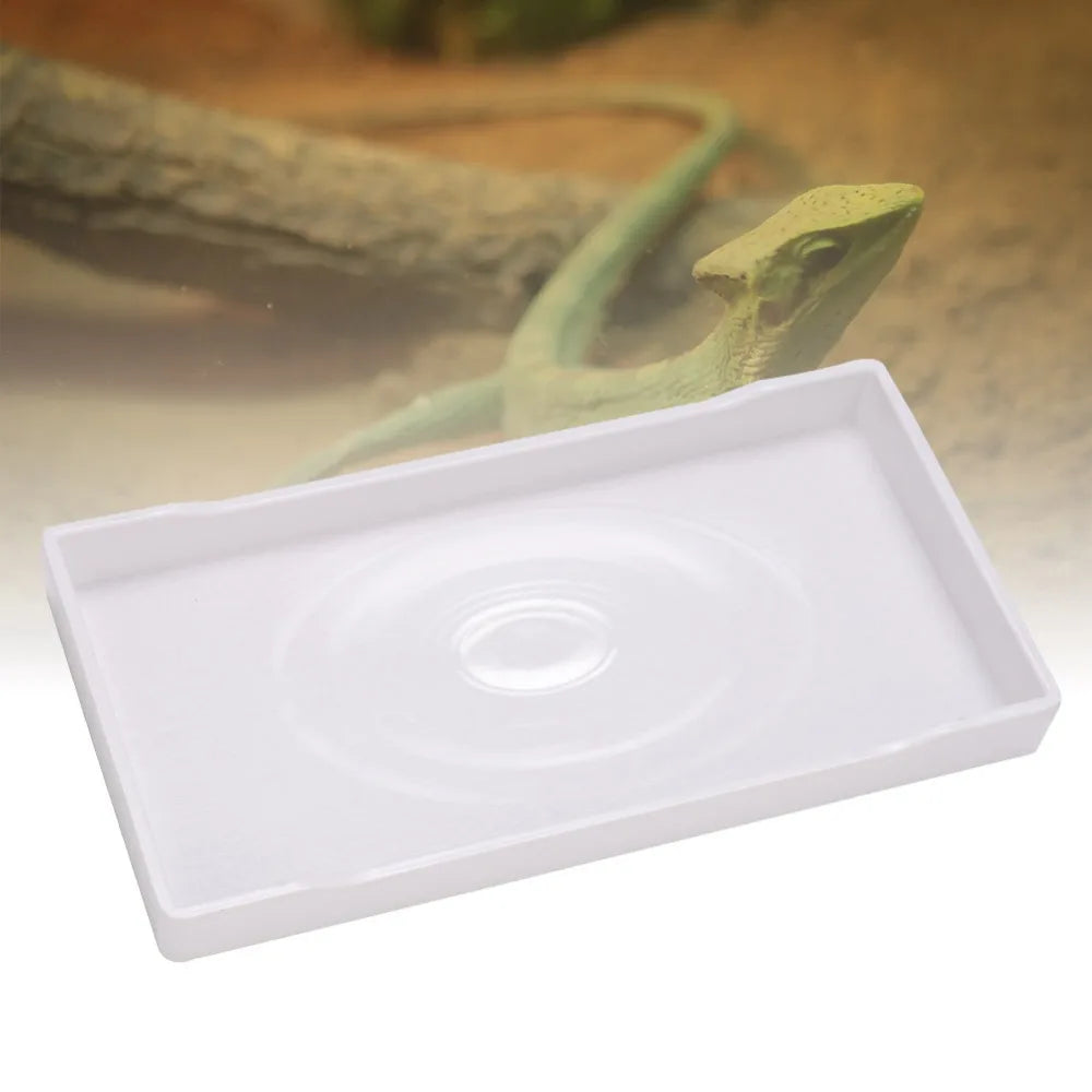 Reptile Feeding Dish – Large Anti-Slip Food & Water Tray