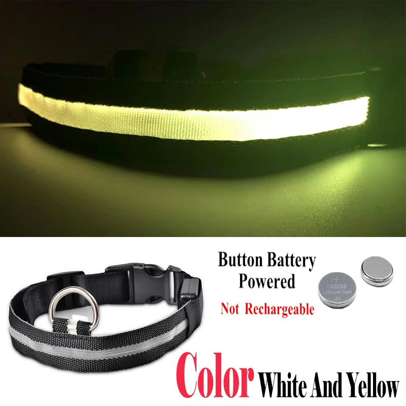USB Rechargeable LED Dog Collar – Flashing Night Safety Glow