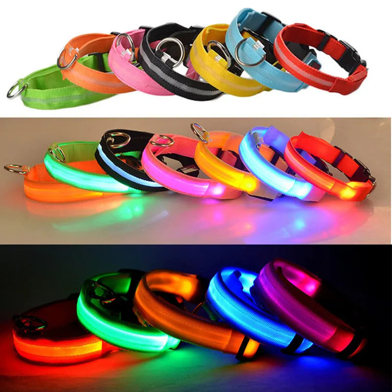 USB Rechargeable LED Dog Collar – Night Safety Glowing Collar