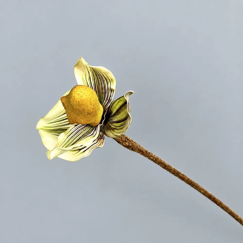 EVA Artificial Orchid Branch – Real Touch Flocked Fake Flower