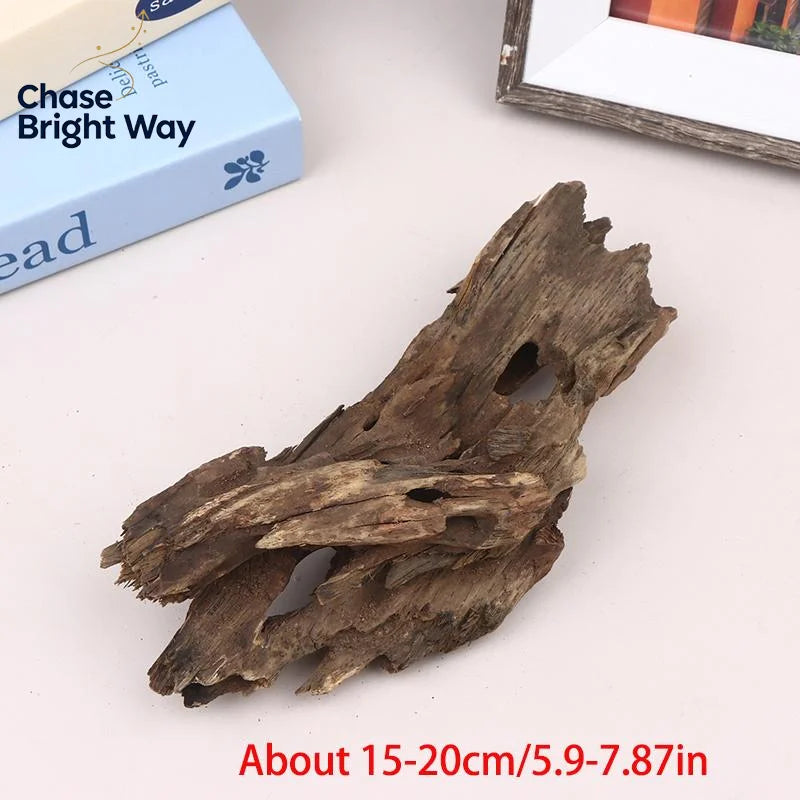 Shrimp Wood Driftwood Aquarium Decor – Natural Fish Tank Ornament