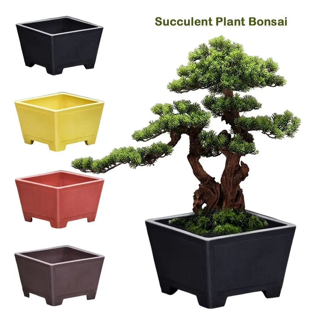 Imitation Purple Clay Flower Pot – DIY Succulent Planter