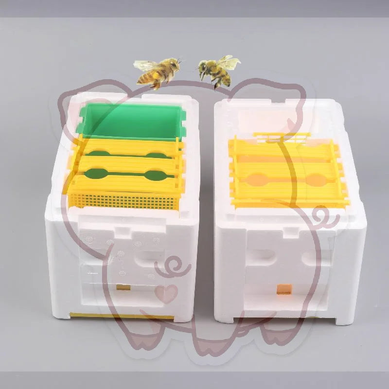 Queen Bee Mating Box – Foam Beekeeping Breeding Case