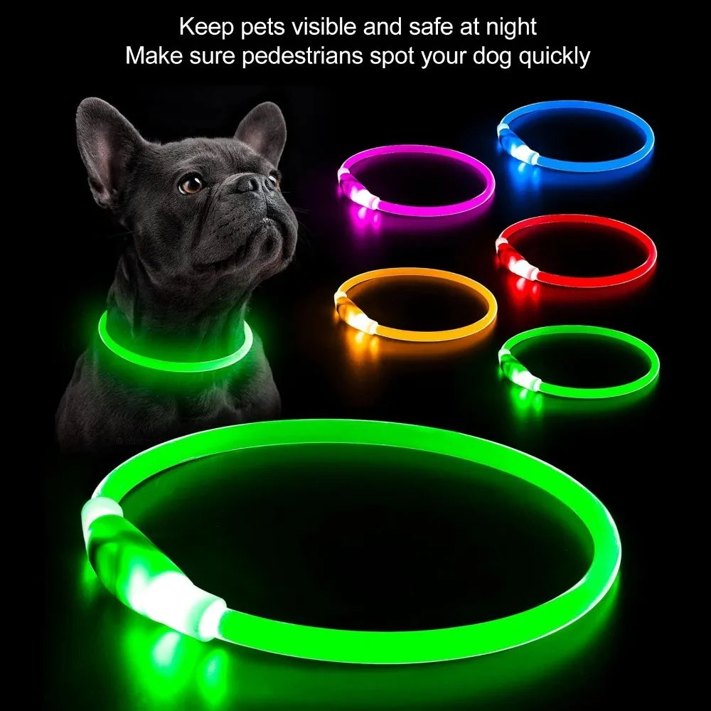 USB Rechargeable LED Dog Collar – Full Glow Night Safety