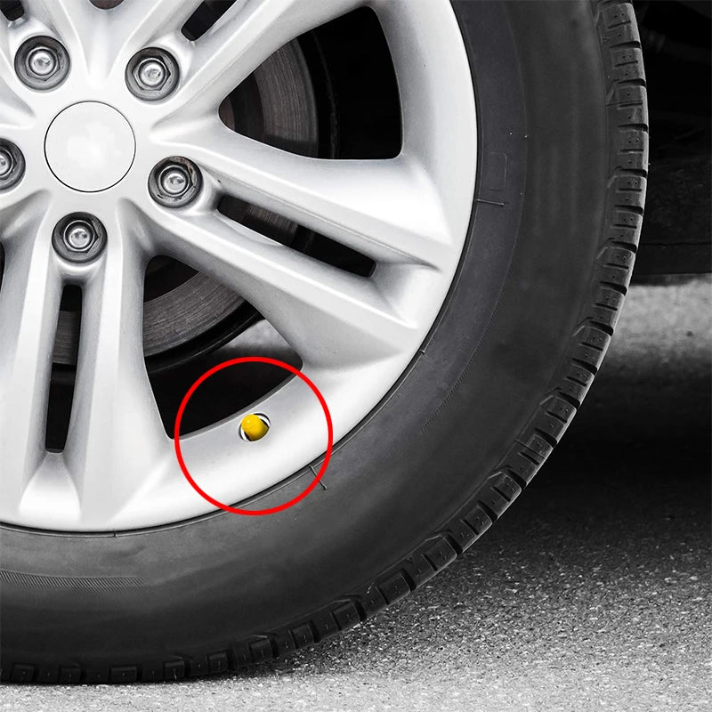 Tire Valve Stem Caps – Universal Dustproof ABS 20-Pack