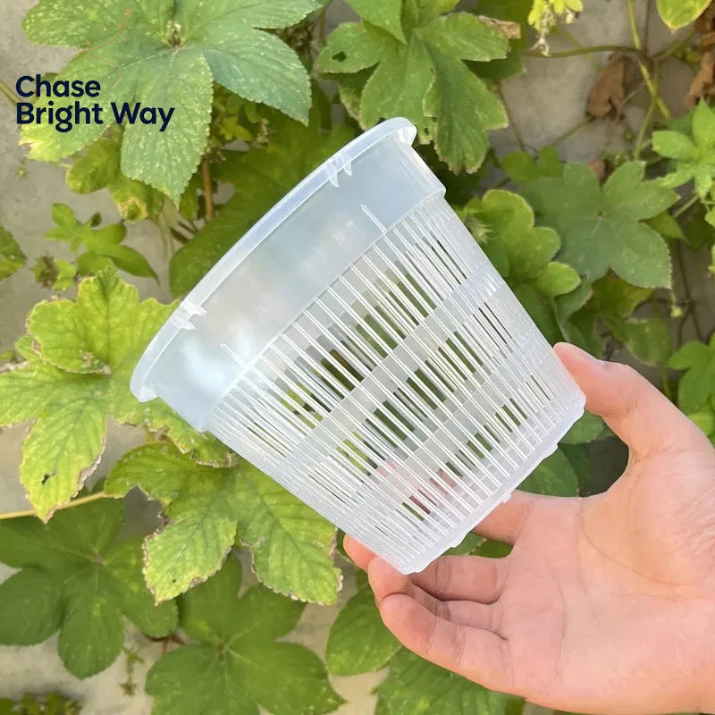 Transparent Mesh Orchid Pot 11cm & 14cm – Air Pruning Planter