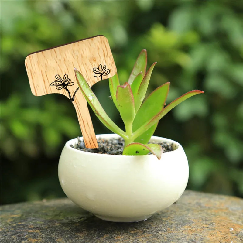 T-Type Bamboo Plant Labels | Eco-Friendly Garden Markers 10–30Pk