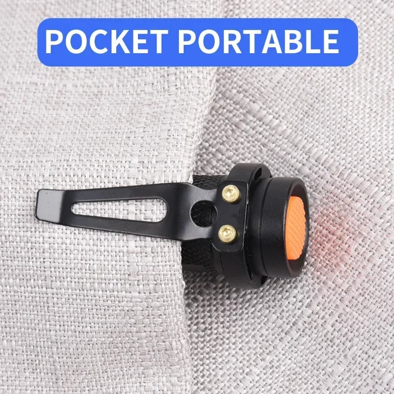 UV Black Light Flashlight 365/395nm Zoomable Ultraviolet Torch