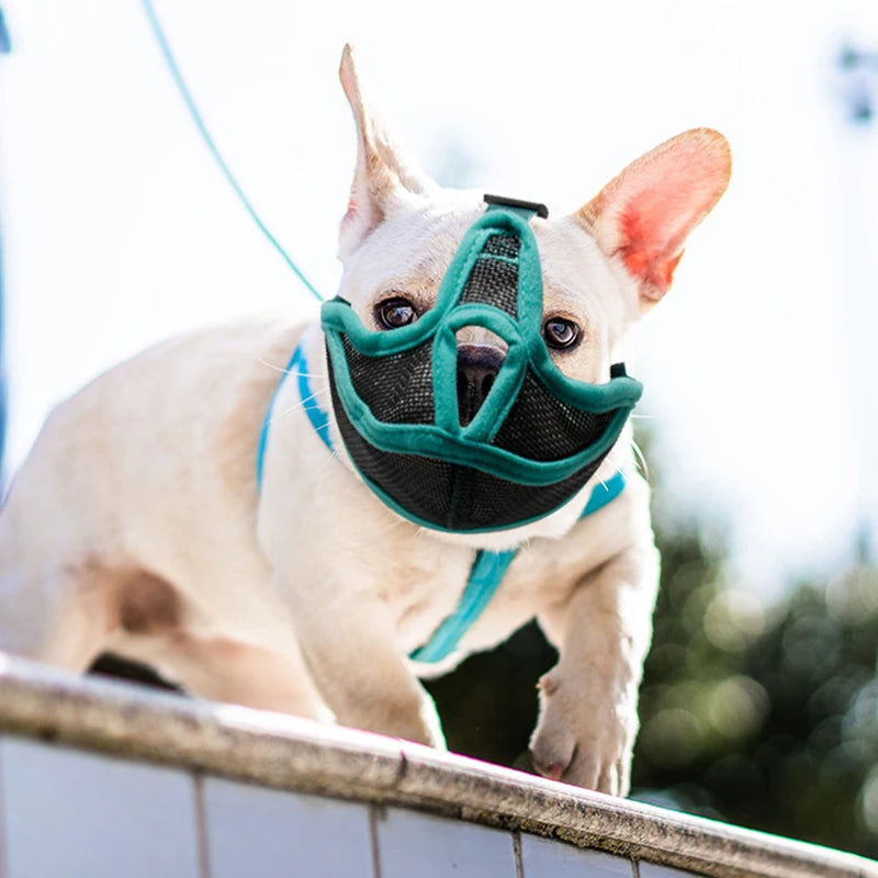 Breathable Mesh Dog Muzzle for French Bulldogs & Pugs S-XL