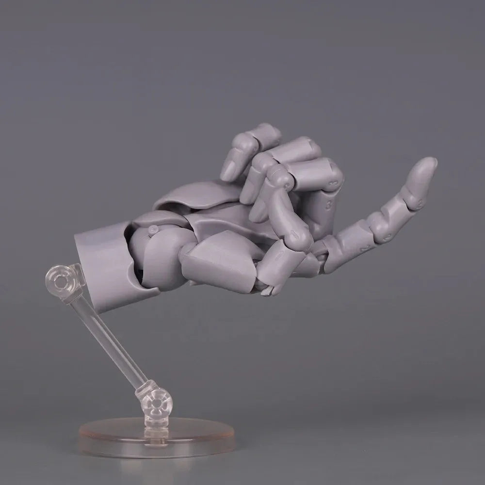 1:2 Scale Articulated Hand Model – Posable Fingers Art Figure