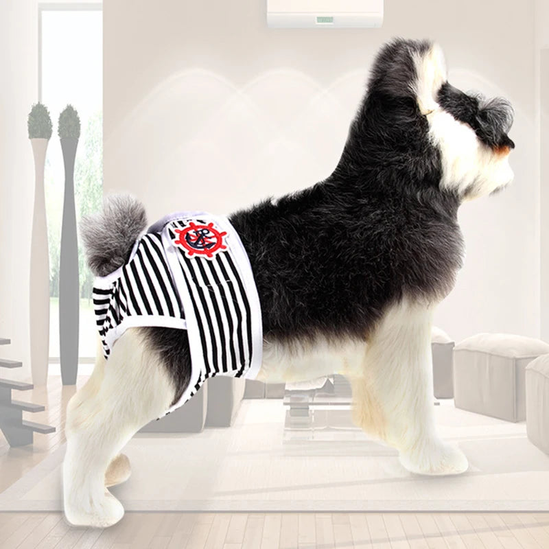Washable Female Dog Diaper Shorts – Reusable Sanitary Pants