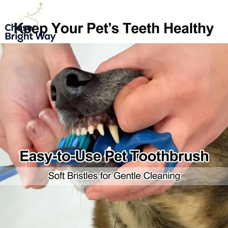 PP Finger Dog Toothbrush – Bite-Resistant Chew & Oral Care
