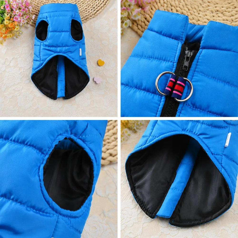 Padded Dog Vest Jacket – Zipper Winter Coat for Small Dogs