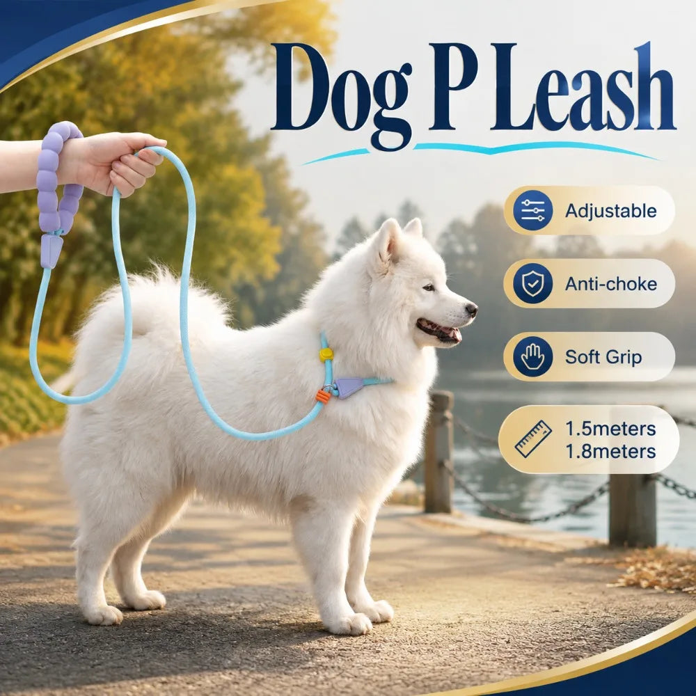 Nylon Slip Lead Dog Leash – Soft Grip Training Rope for Small Dogs