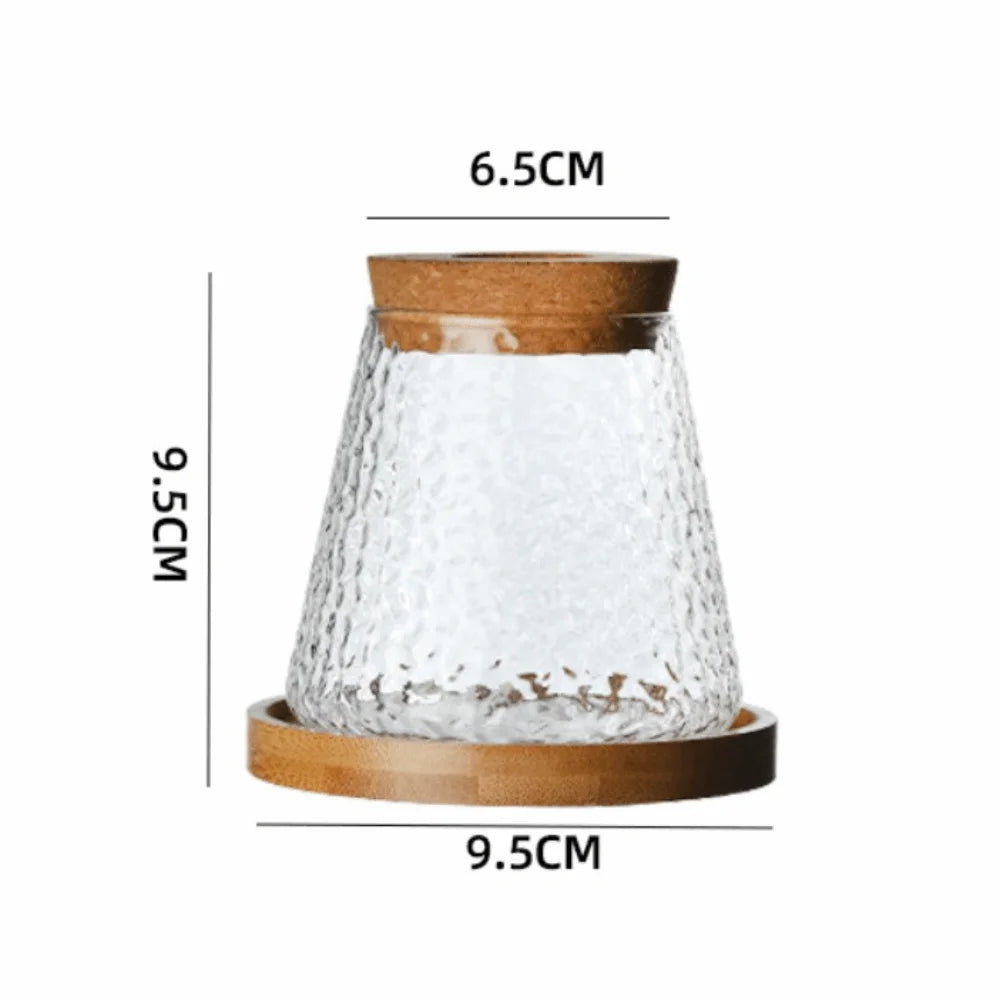 Glass Propagation Vase Rack – Tabletop Water Cultivation Planter