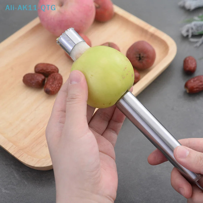 Stainless Steel Fruit Corer & Seed Remover – Apple, Pear, Dates