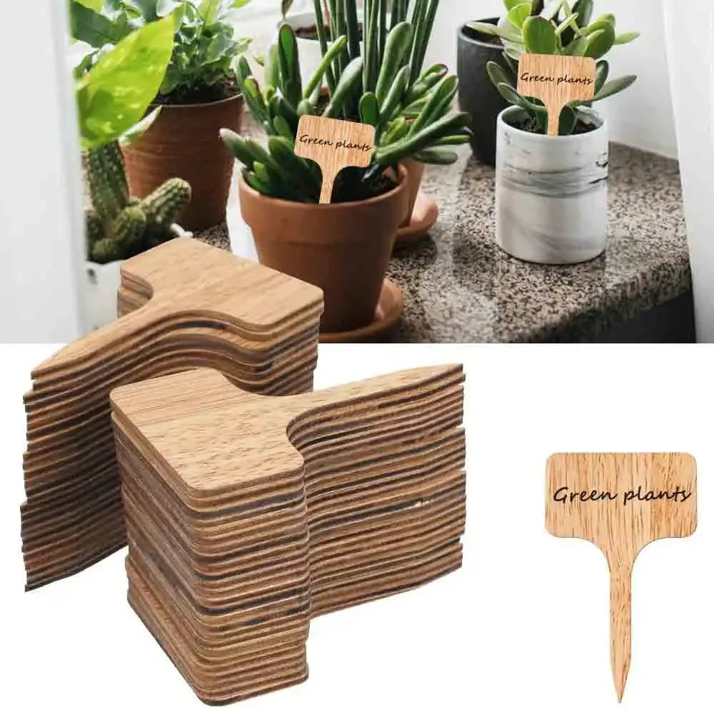 T-Type Bamboo Plant Labels | Eco-Friendly Garden Markers 10–30Pk