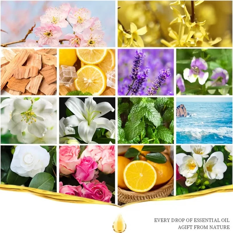 Sandalwood Vanilla Rose Essential Oil Set – 3 x 10ml Bottles