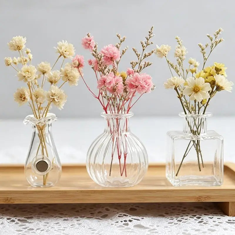 Mini Glass Flower Vase Set – 1 or 5 Pack Clear Bud Vases