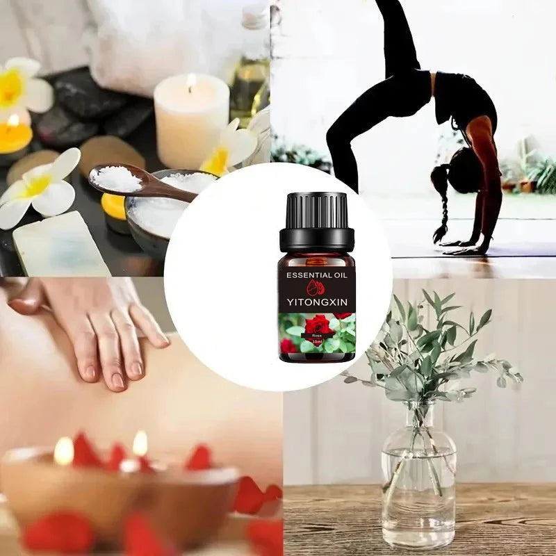 Sandalwood Vanilla Rose Essential Oil Set – 3 x 10ml Bottles
