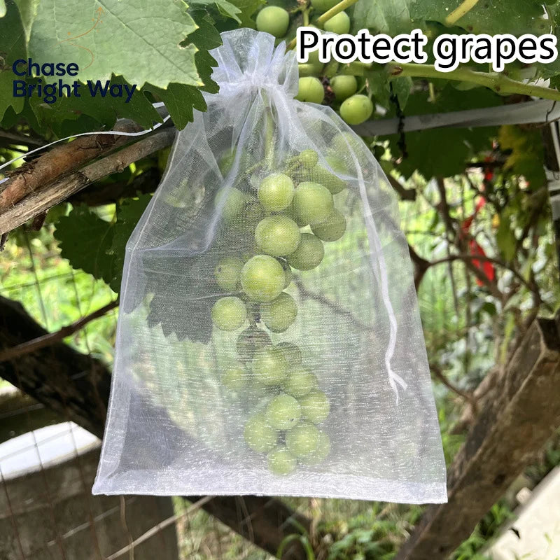 50-Pack Fruit Protection Mesh Bags – Bird & Pest Guard