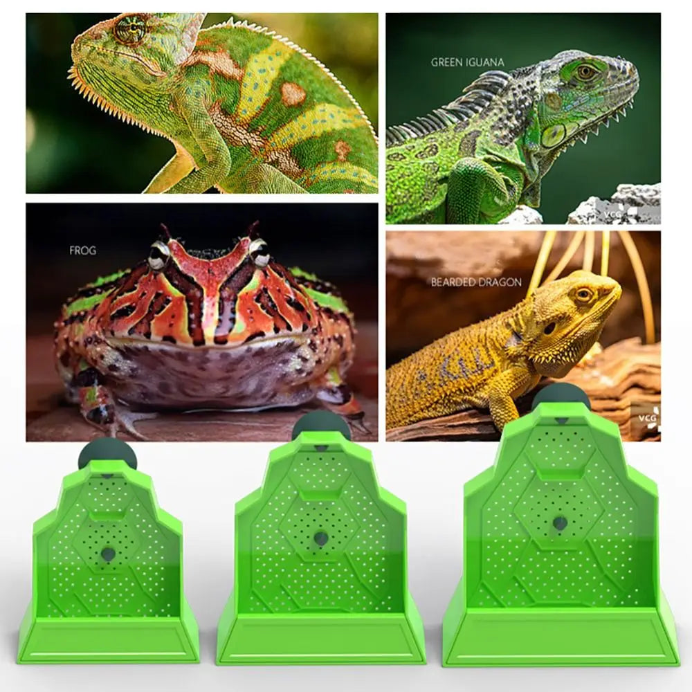 Reptile Hanging Feeding Bowl – Suction Cup Lizard Food Tray