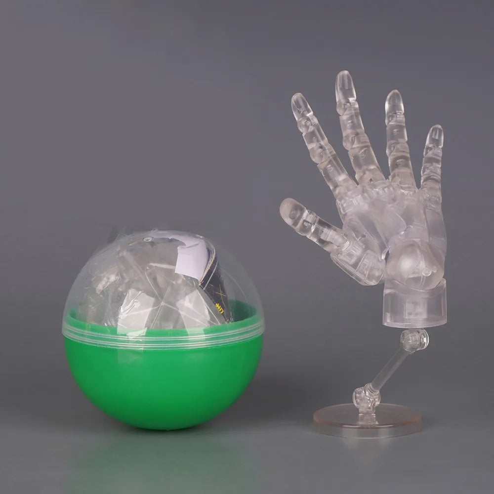 1:2 Scale Articulated Hand Model – Posable Fingers Art Figure