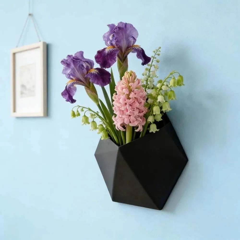 Hexagonal Wall-Mounted Planter – Geometric Matte Black Pot