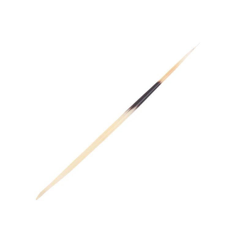 Natural Porcupine Quills – Hair Stick, DIY Crafts & Jewelry