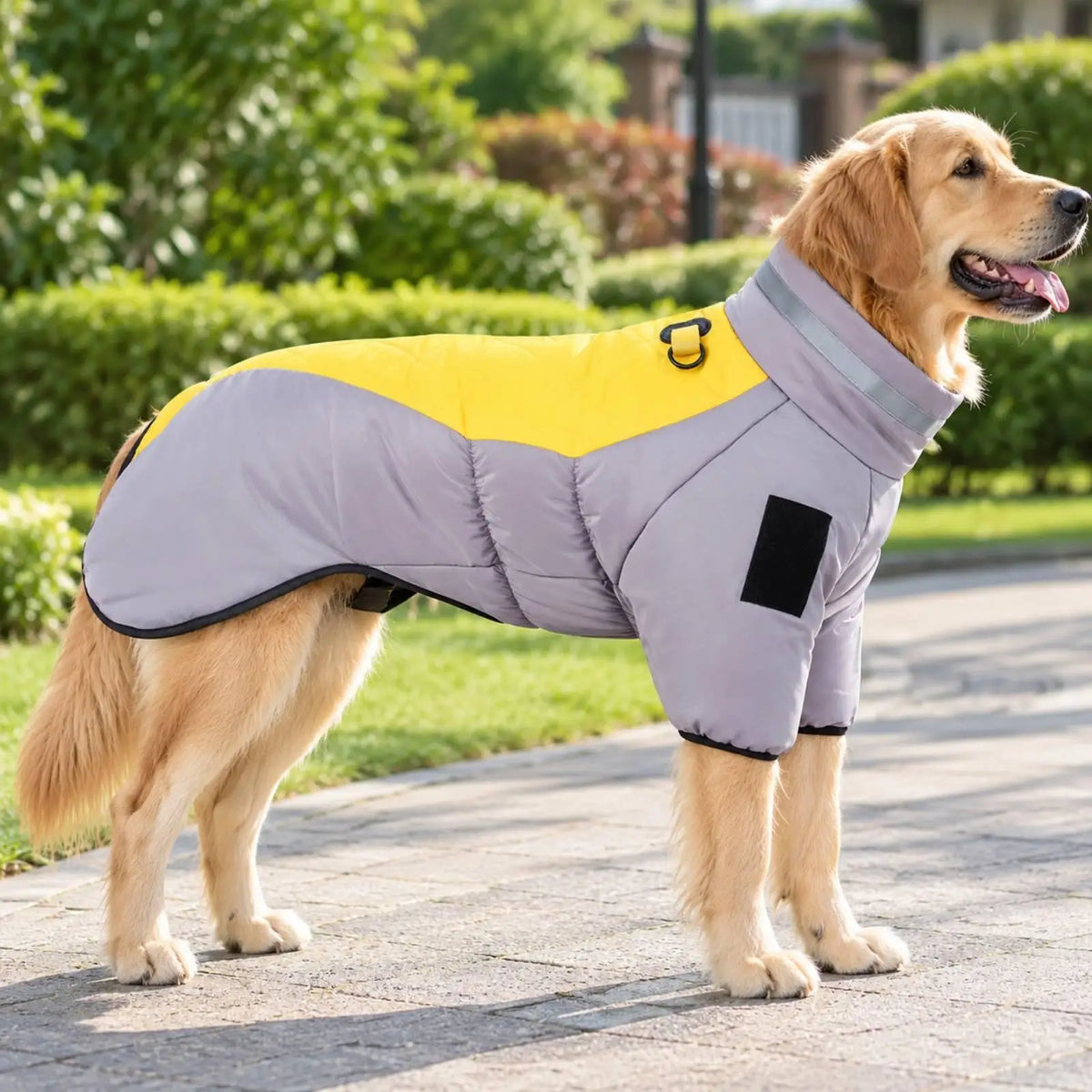 Reflective Quilted Dog Winter Coat – Water-Resistant Jacket