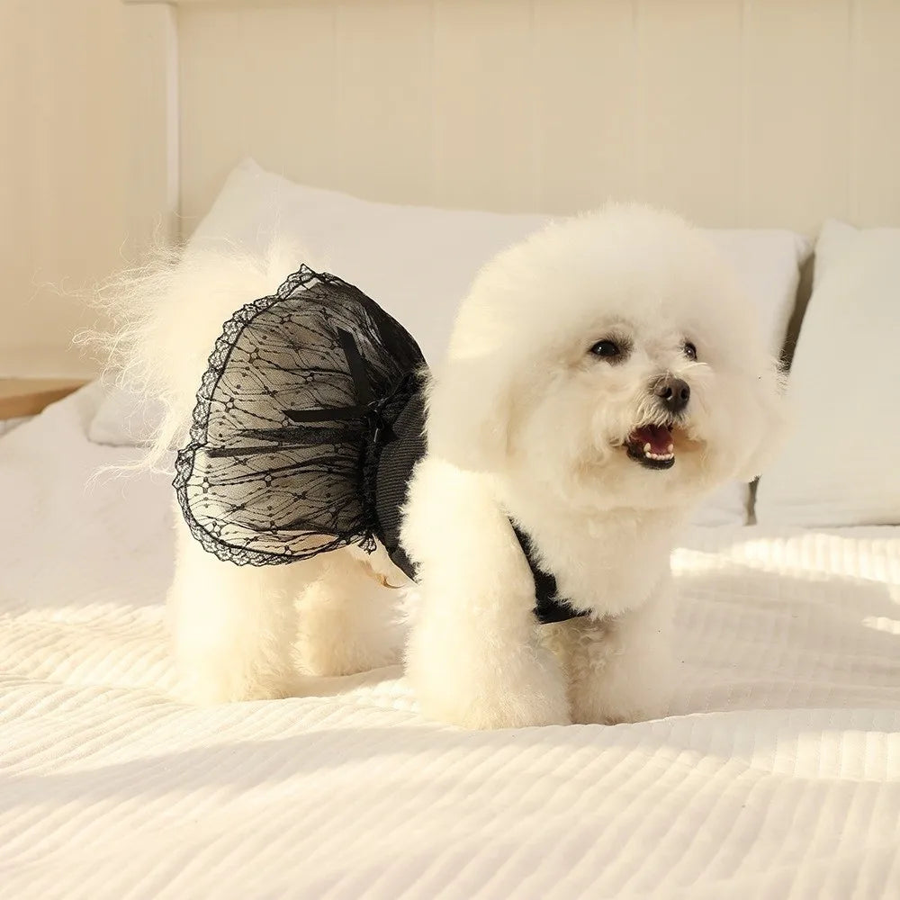 Princess Lace Dog Skirt Dress – Summer Pet Vest Clothing