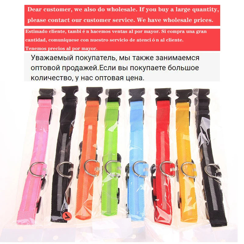USB Rechargeable LED Dog Collar – Flashing Night Safety Glow