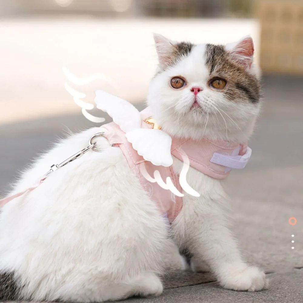 Angel Wings Cat Vest Harness & Leash – Adjustable, All Seasons