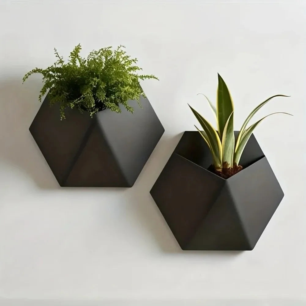 Hexagonal Wall-Mounted Planter – Geometric Matte Black Pot
