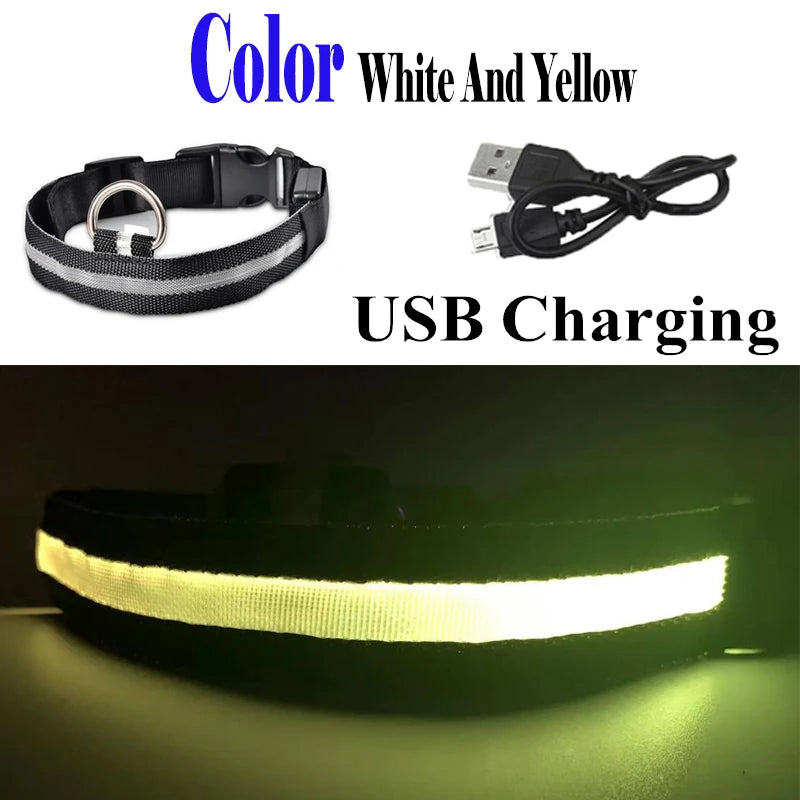 USB Rechargeable LED Dog Collar – Flashing Night Safety Glow