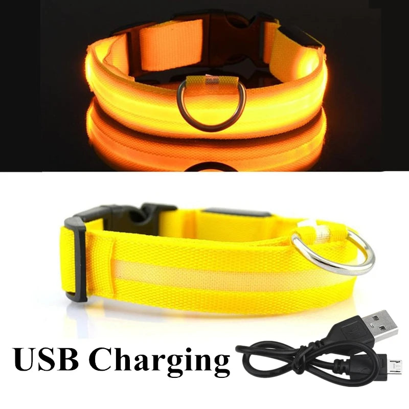 USB Rechargeable LED Dog Collar – Flashing Night Safety Glow