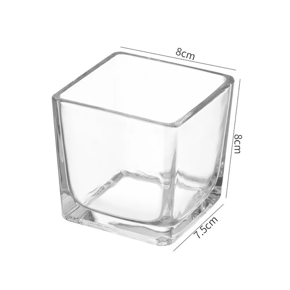 Transparent Square Glass Vase – Geometric Hydroponic Planter