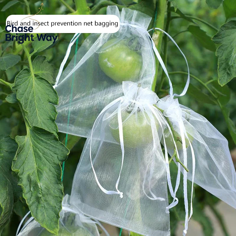 50-Pack Fruit Protection Mesh Bags – Bird & Pest Guard
