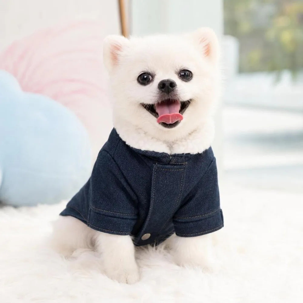 Windproof Dog Vest Coat – Warm Winter Cowboy Pet Bodysuit