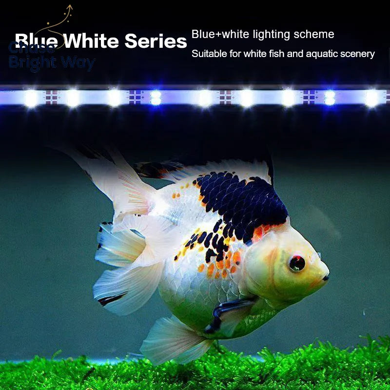 USB LED Submersible Aquarium Light – Fish Tank & Plant Grow Lamp