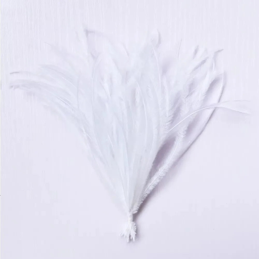 100-Pack Turkey Feathers 10–15cm | DIY Craft & Costume Trim