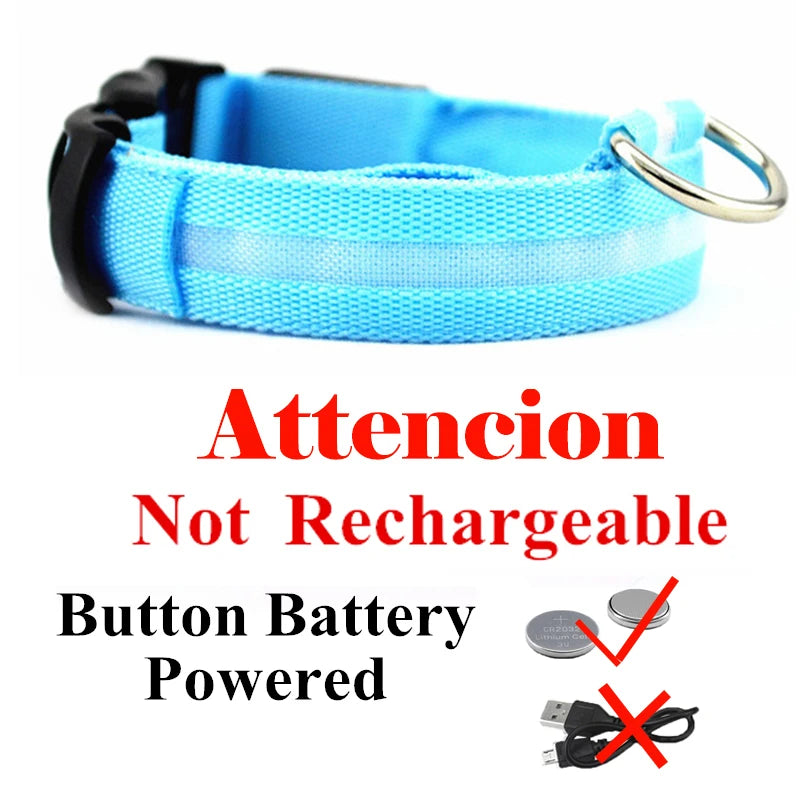 USB Rechargeable LED Dog Collar – Flashing Night Safety Glow