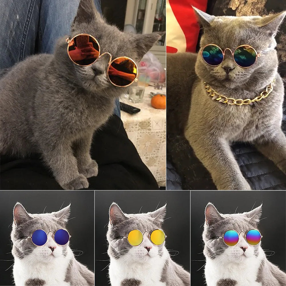 Vintage Round Pet Glasses – Dog & Cat Photo Prop Eyewear