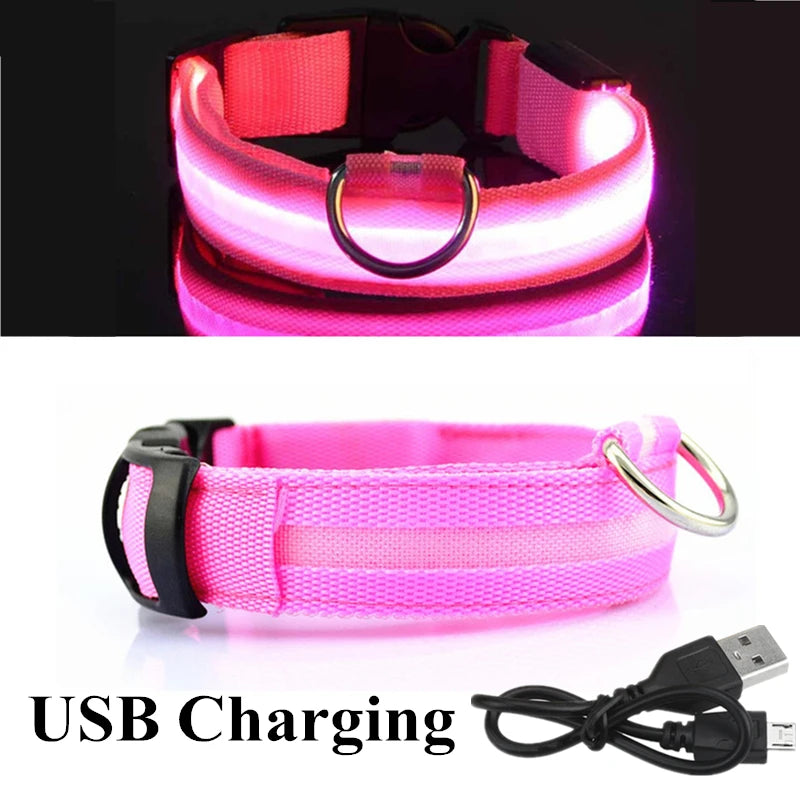 USB Rechargeable LED Dog Collar – Night Safety Glowing Collar