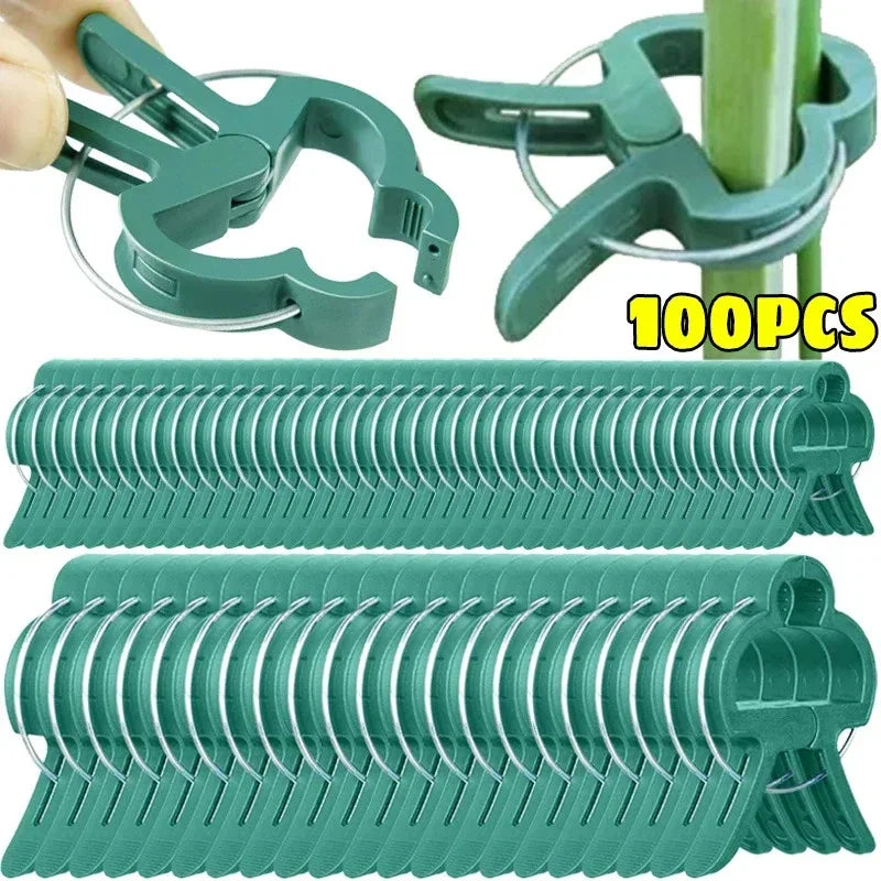 Reusable Plant Support Clips for Vines, Flowers & Seedlings