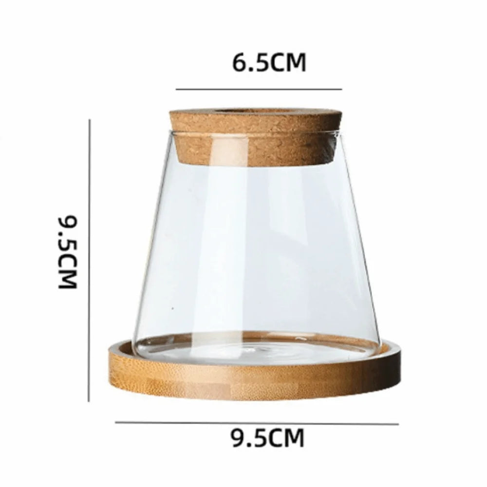 Glass Propagation Vase Rack – Tabletop Water Cultivation Planter