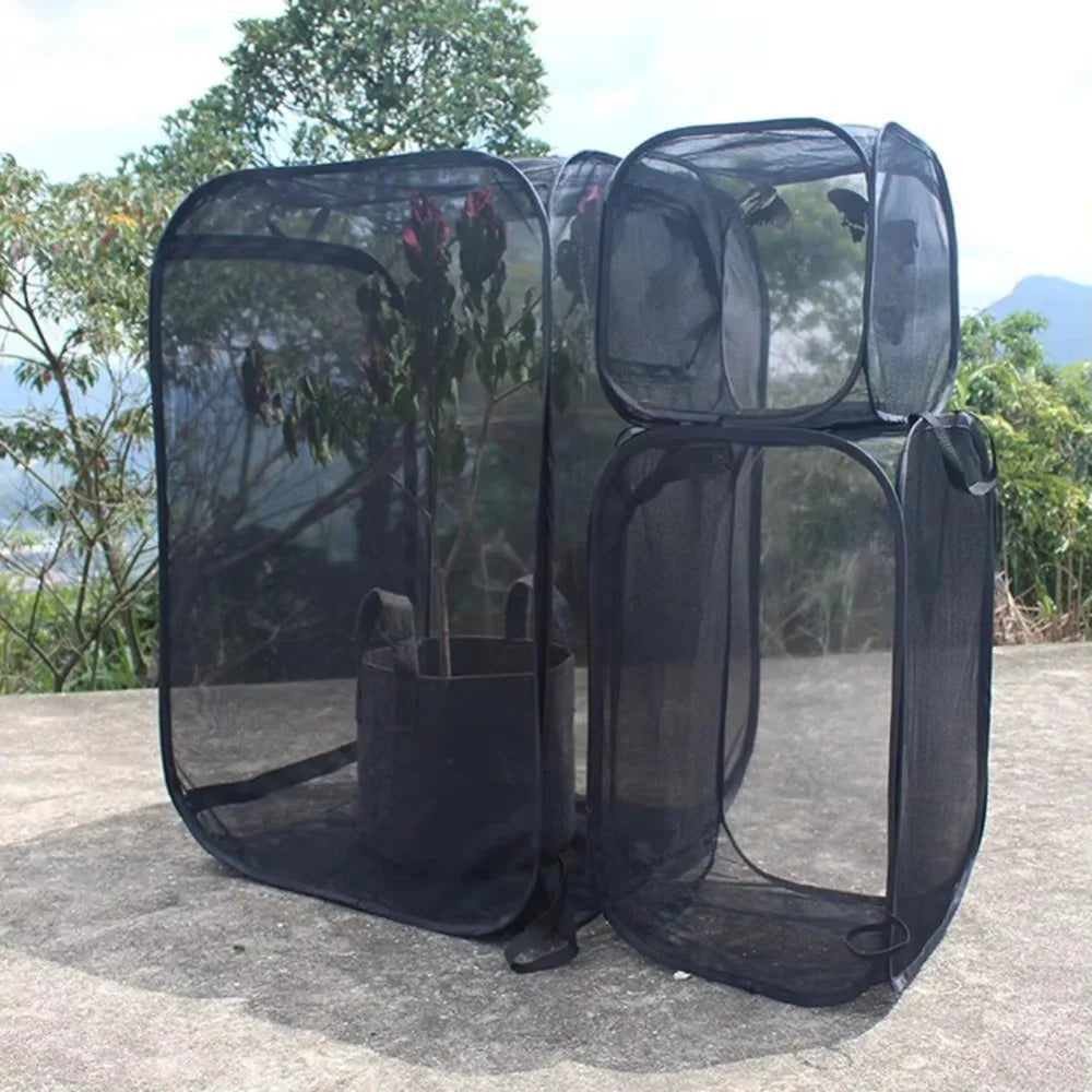 Collapsible Pop-Up Butterfly & Insect Habitat Cage | Black Mesh